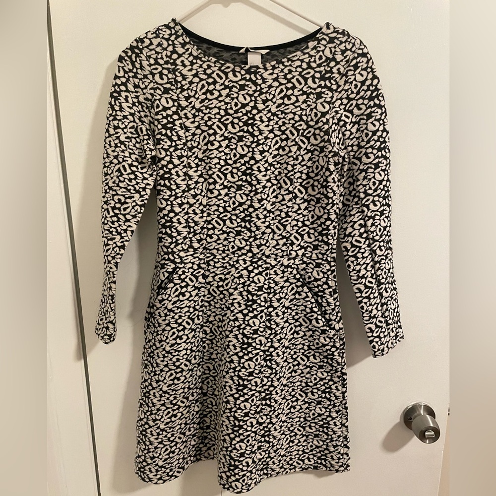 H&M Dress with Zipper Pockets